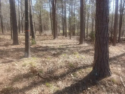 19 Belfast Court North Augusta SC 29860