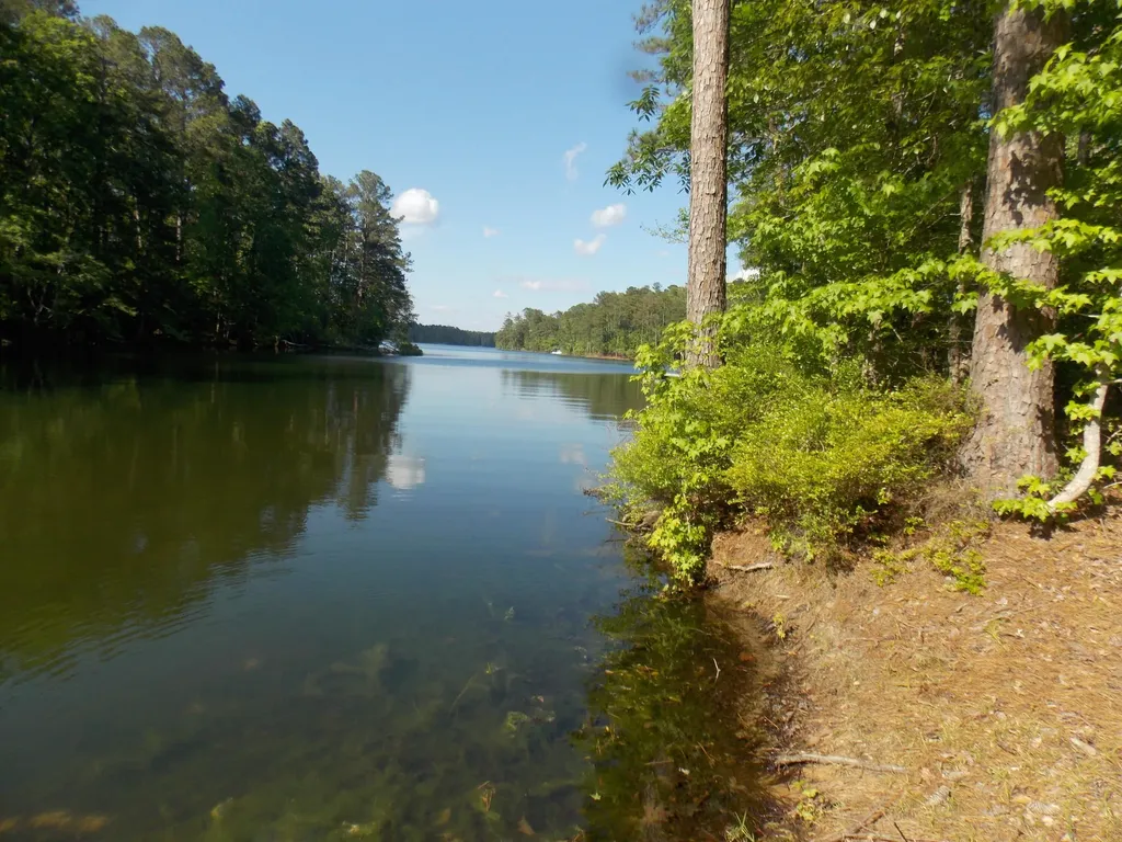 13 Riverview Court Lincolnton GA 30817