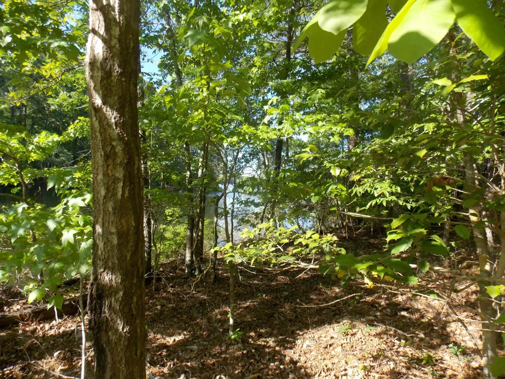 13 Riverview Court Lincolnton GA 30817