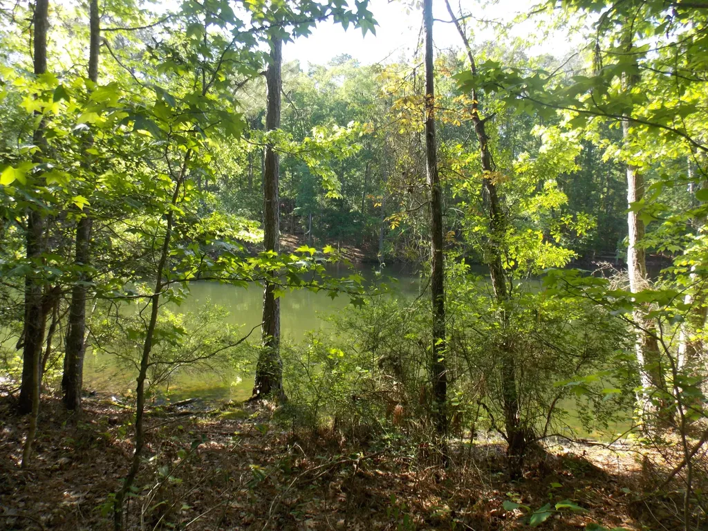 13 Riverview Court Lincolnton GA 30817