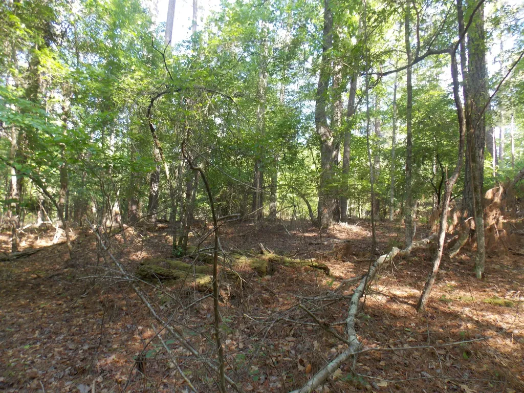 13 Riverview Court Lincolnton GA 30817
