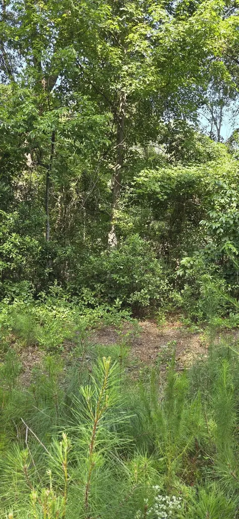 0 Cherokee Drive North Augusta SC 29841