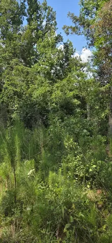 0 Cherokee Drive North Augusta SC 29841