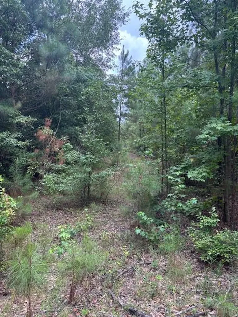 1912 Pine Hollow Drive Augusta GA 30906