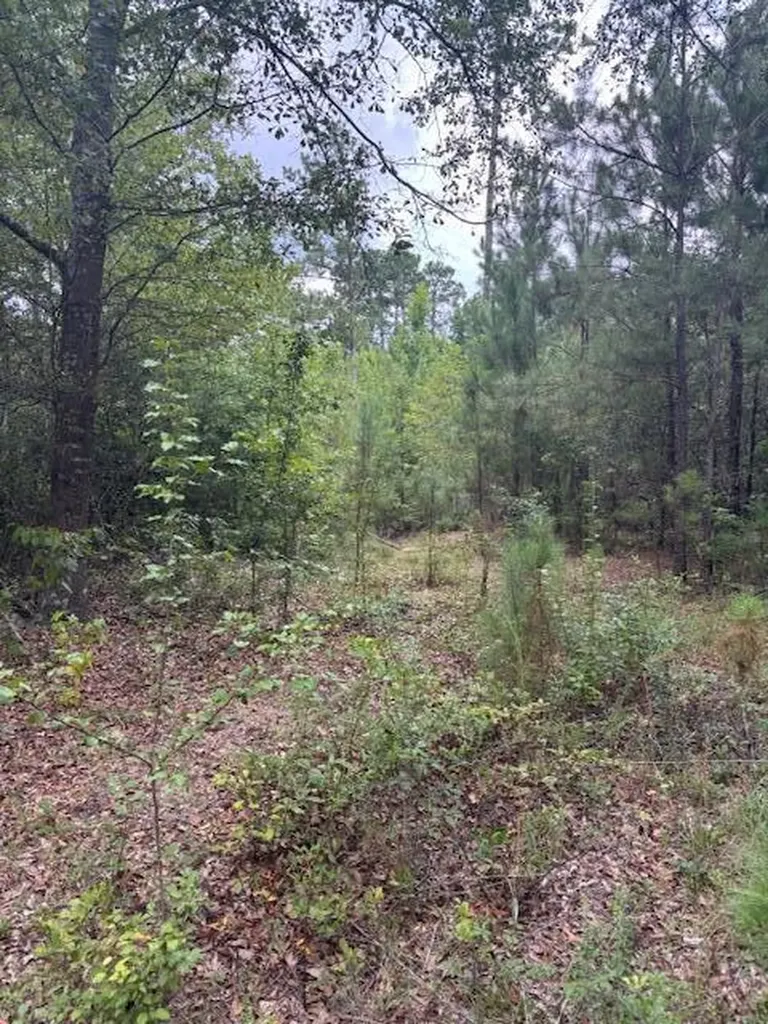 1912 Pine Hollow Drive Augusta GA 30906