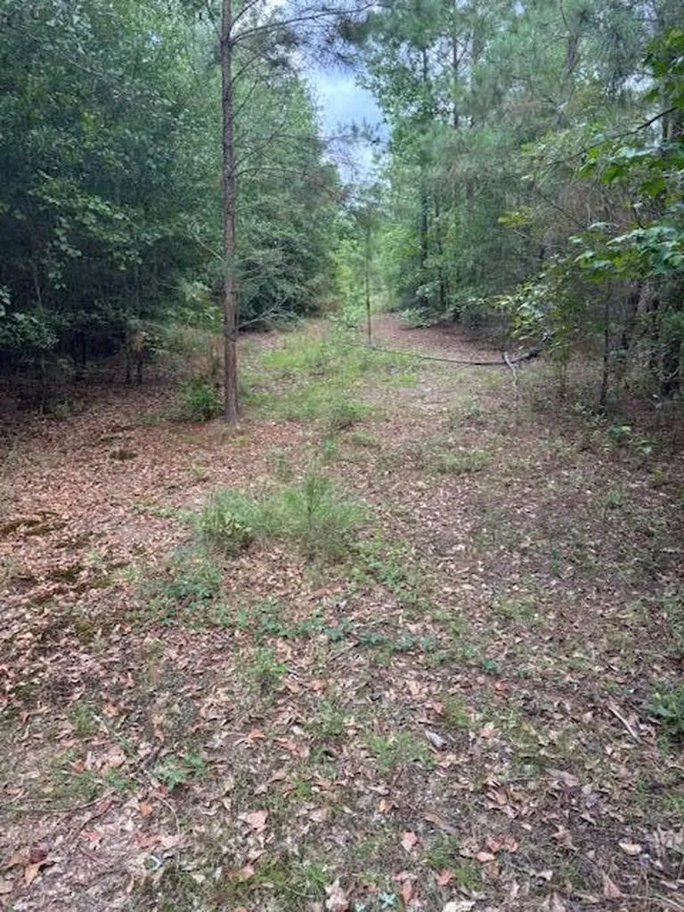 1912 Pine Hollow Drive Augusta GA 30906