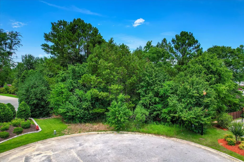 4020 Firethorn Court Martinez GA 30907