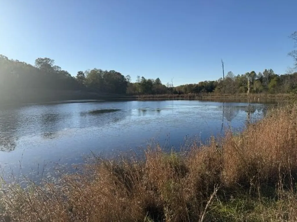 0 Mitchner Road Dearing GA 30808