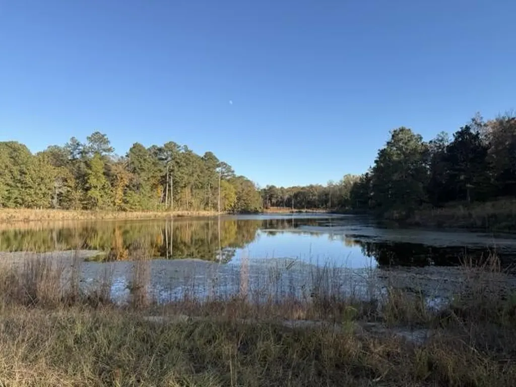 0 Mitchner Road Dearing GA 30808