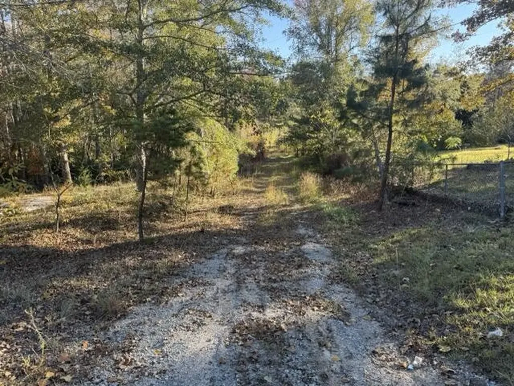 0 Mitchner Road Dearing GA 30808