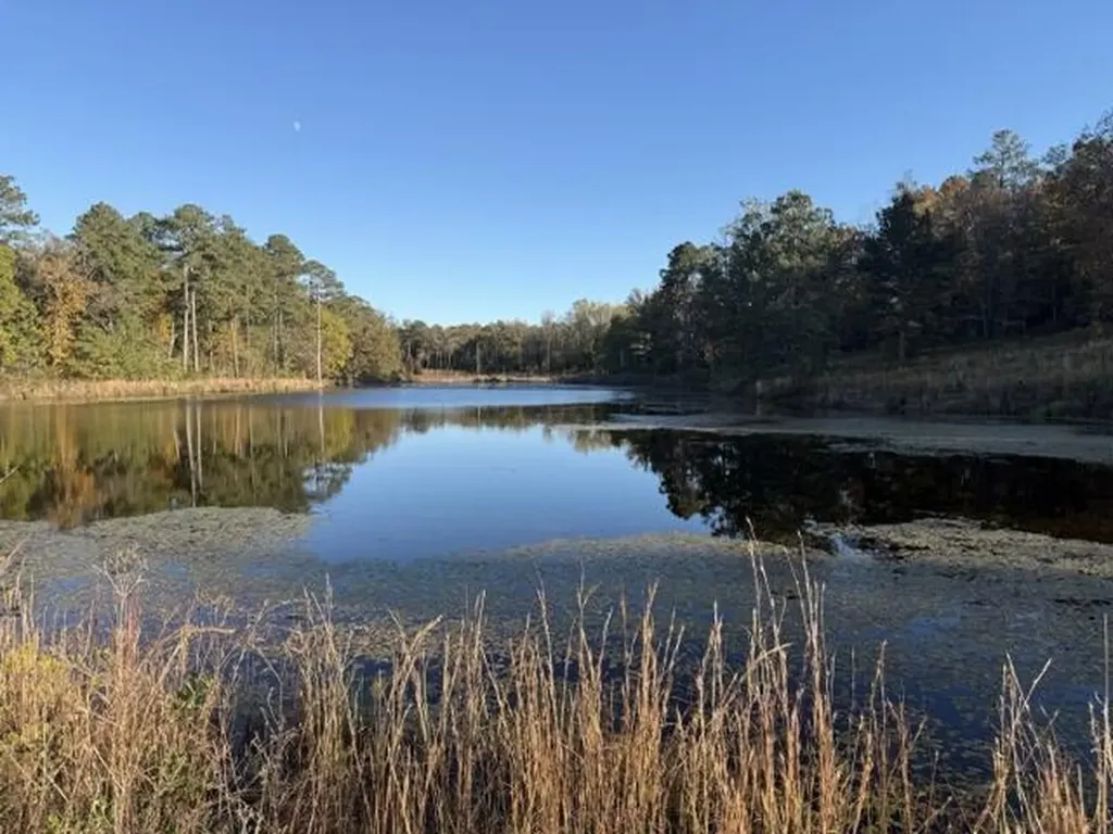 0 Mitchner Road Dearing GA 30808