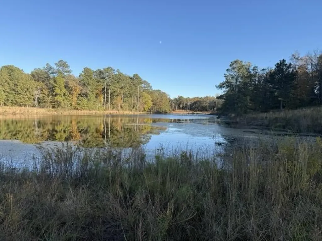 0 Mitchner Road Dearing GA 30808