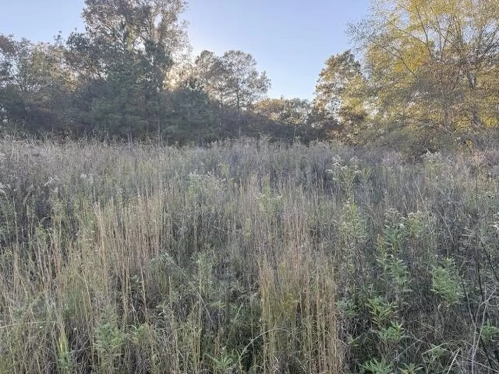 0 Mitchner Road Dearing GA 30808