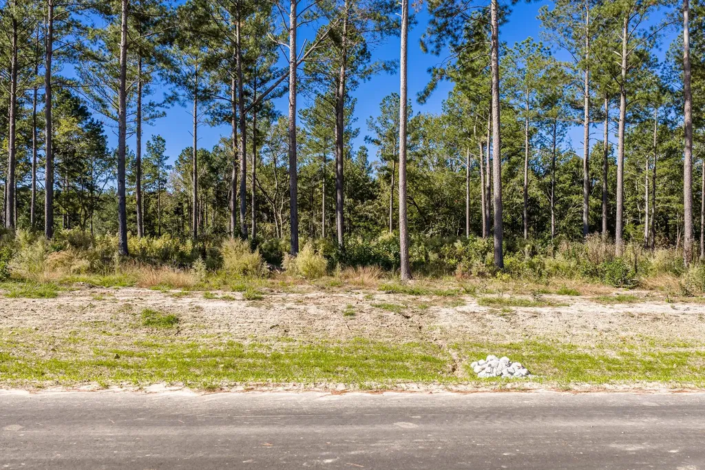 142 Beagle Chase Drive Appling GA 30802