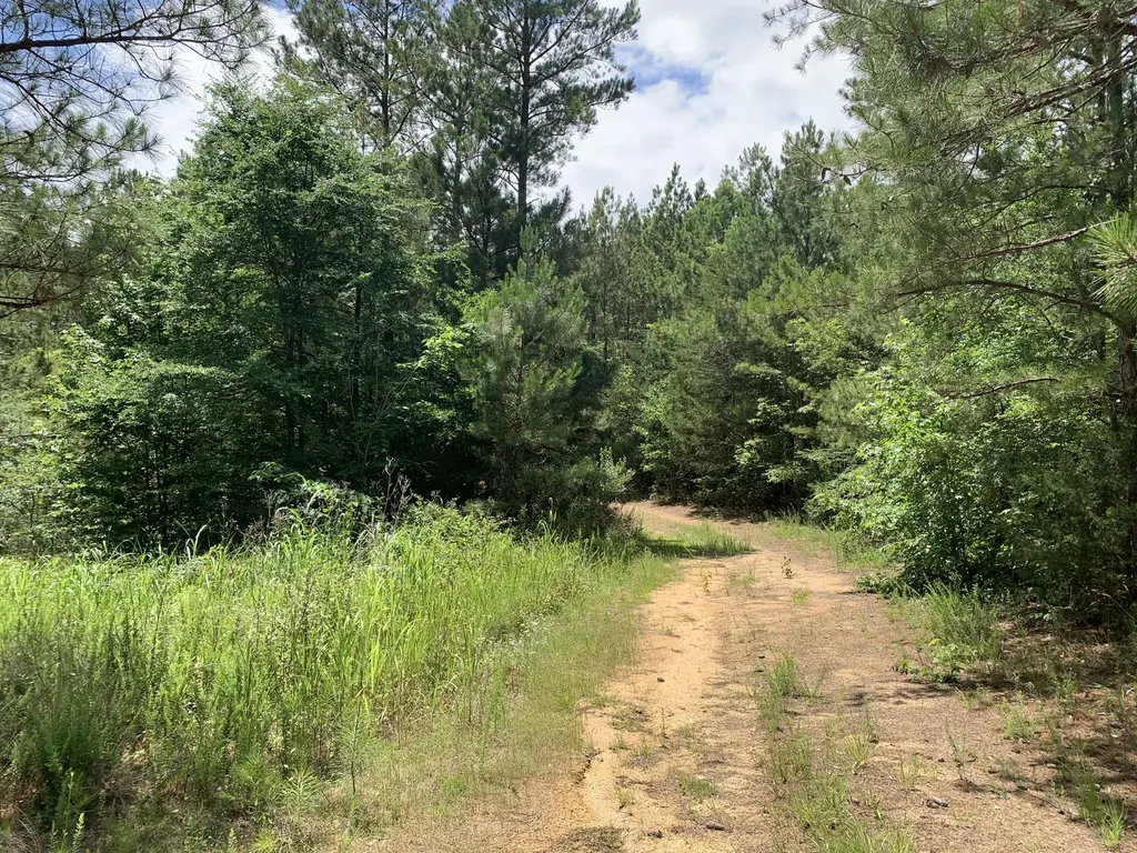 Na Metasville Road Lincolnton GA 30817