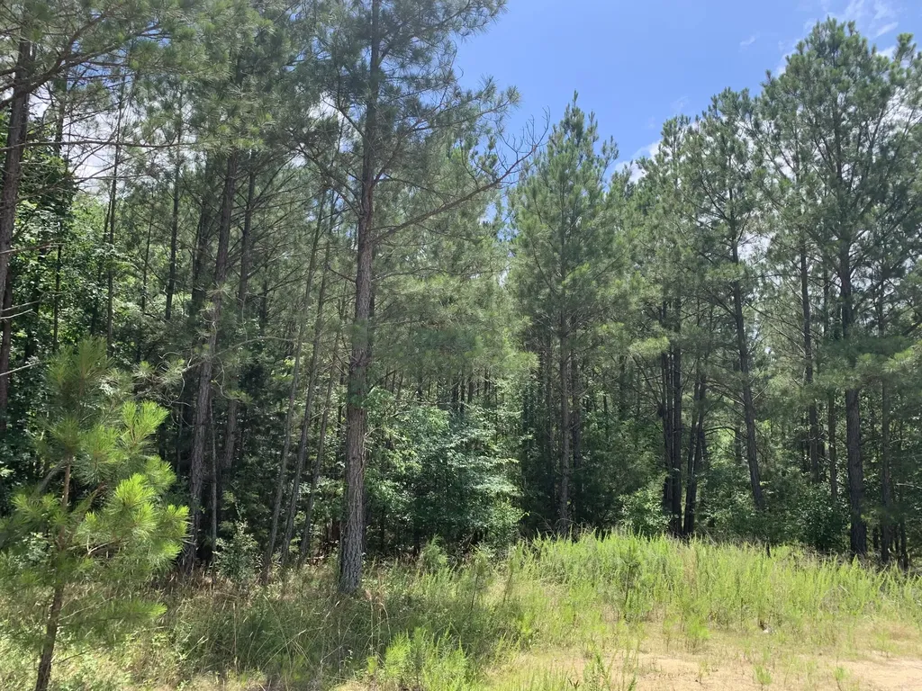 Na Metasville Road Lincolnton GA 30817