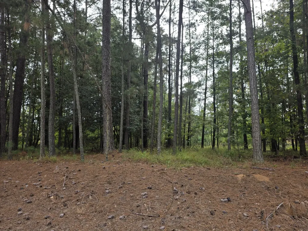5219 Riverwood Parkway Evans GA 30809