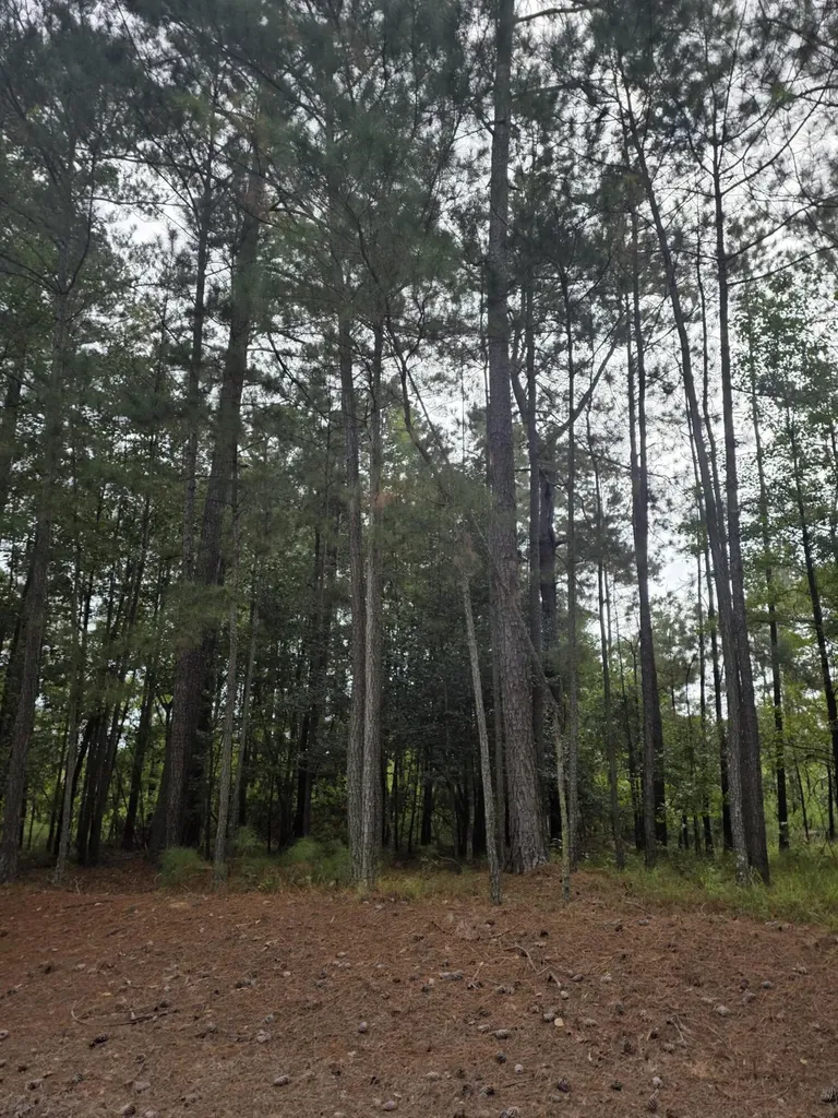 5219 Riverwood Parkway Evans GA 30809