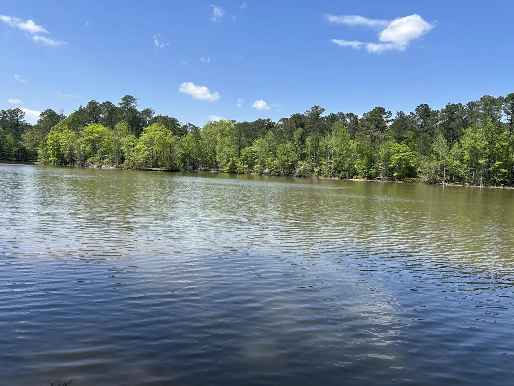 1153 Watersedge Cove Tignall GA 30668