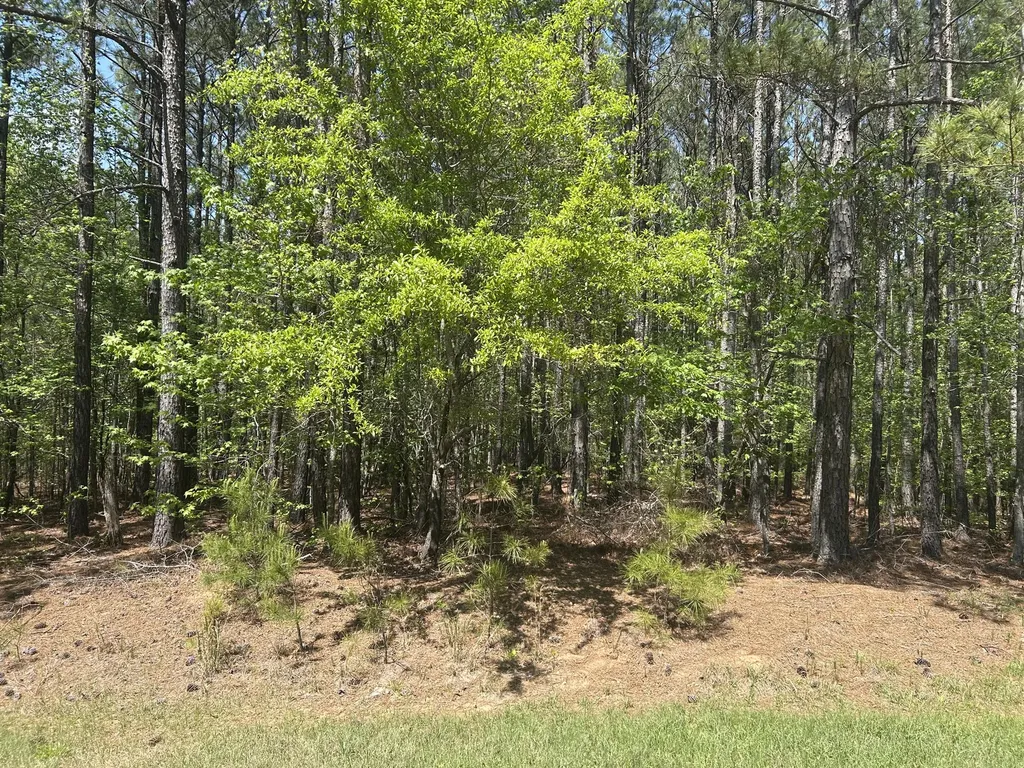 1153 Watersedge Cove Tignall GA 30668