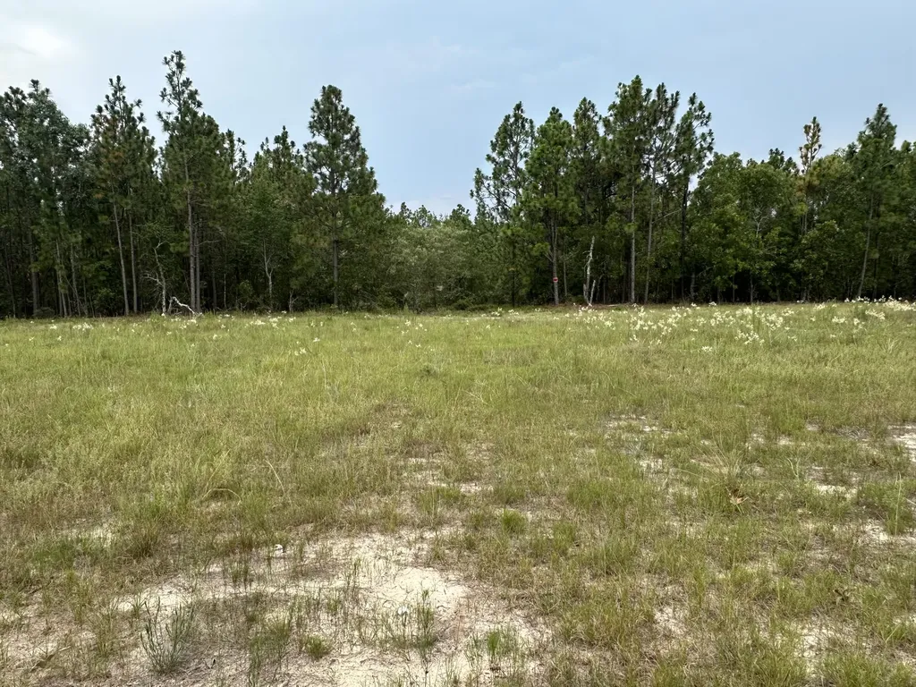 2070 Greenland Road Blythe GA 30805
