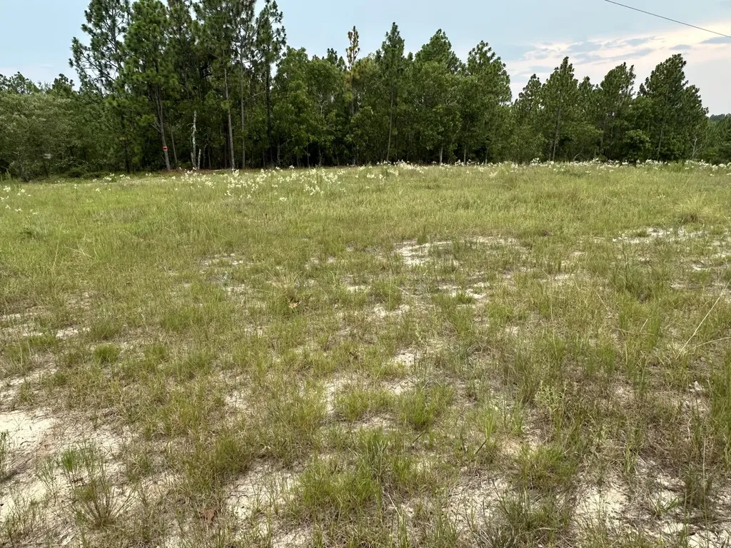2070 Greenland Road Blythe GA 30805
