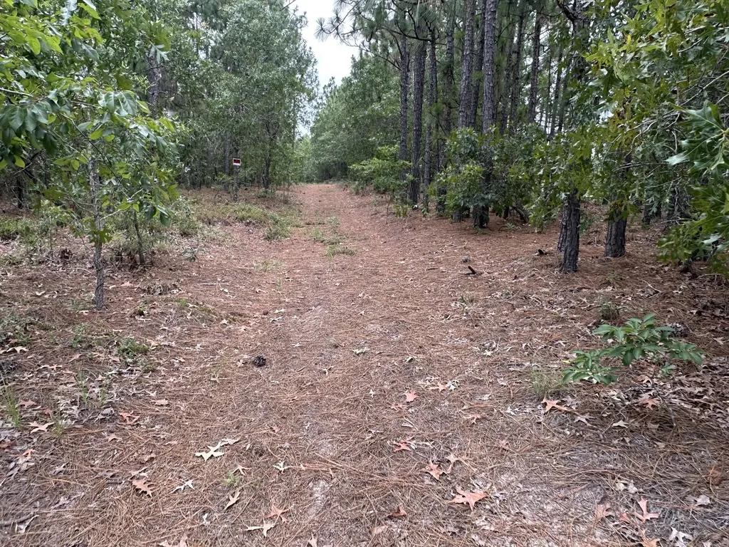 2070 Greenland Road Blythe GA 30805