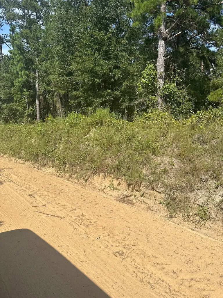 000 Wrens Highway Thomson GA 30824