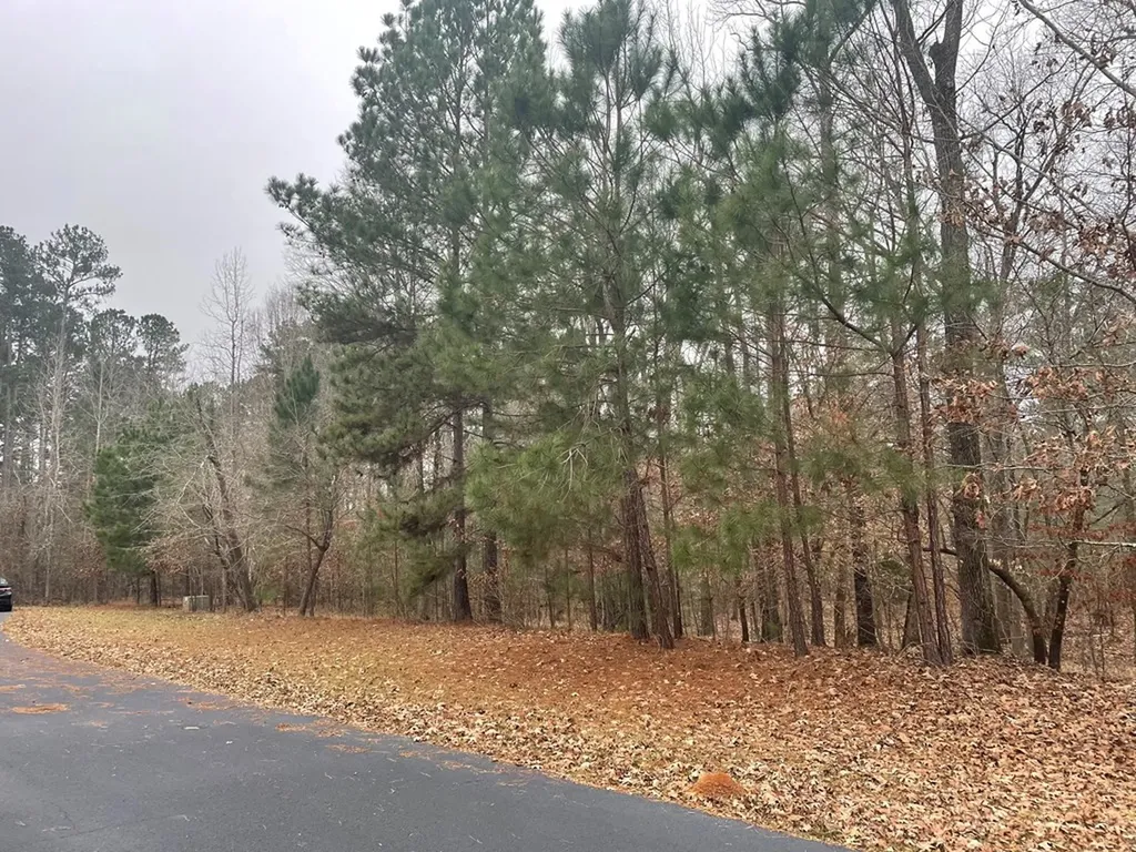Lot 18 South Pointe Court Lincolnton GA 30817