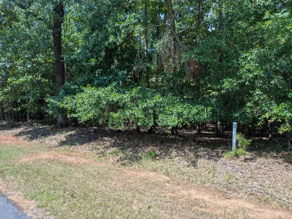 Lot 18 South Pointe Court Lincolnton GA 30817