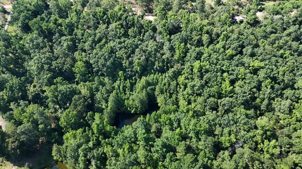 2031 Mcdade Road Hephzibah GA 30815