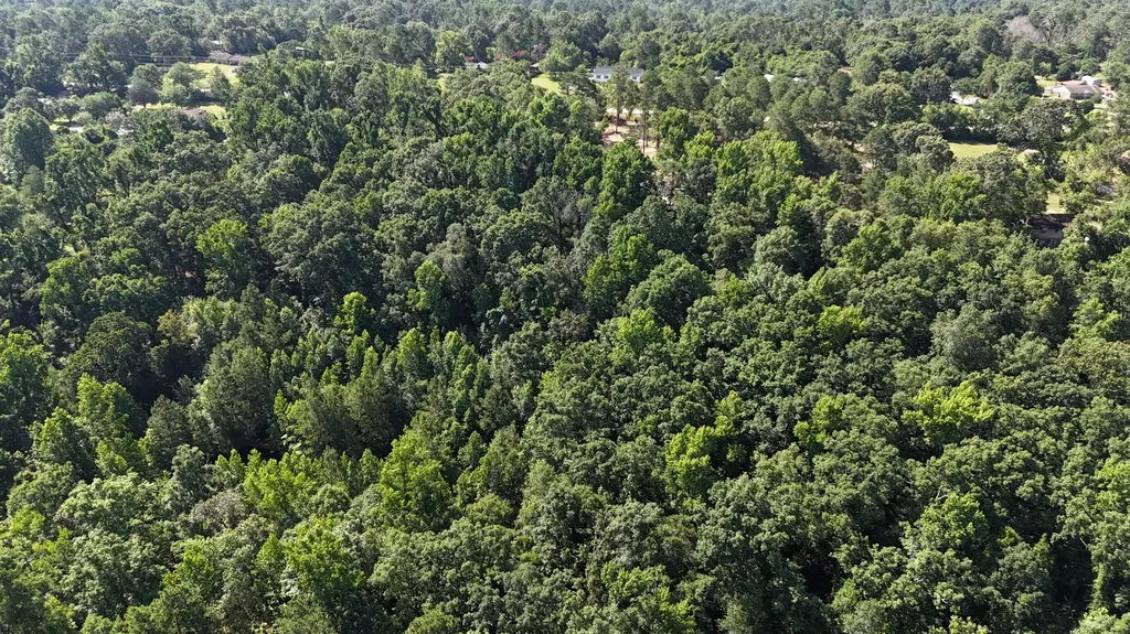 2031 Mcdade Road Hephzibah GA 30815