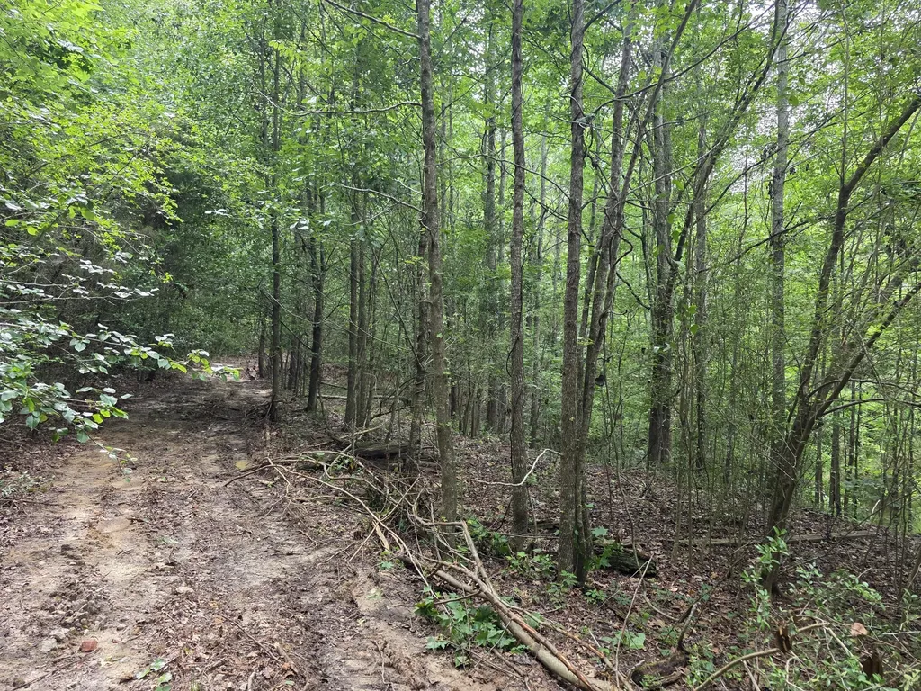 2031 Mcdade Road Hephzibah GA 30815