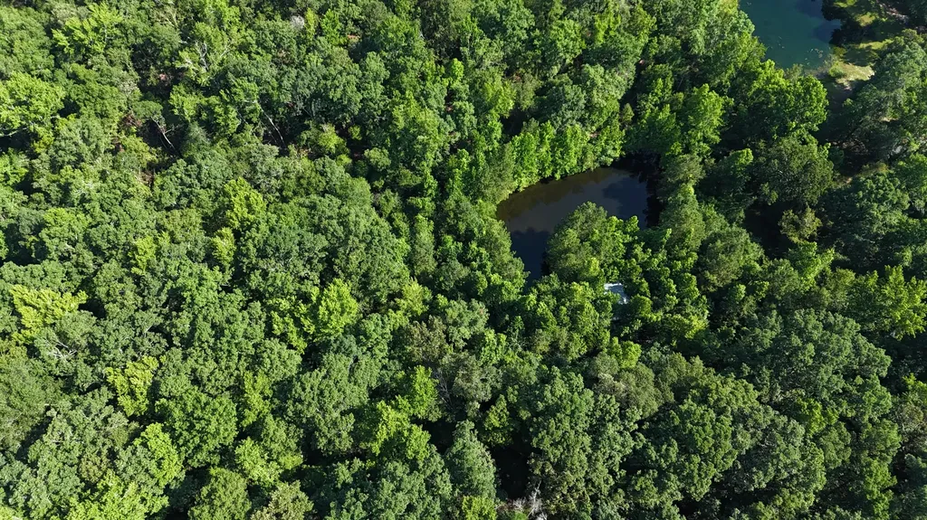 2031 Mcdade Road Hephzibah GA 30815