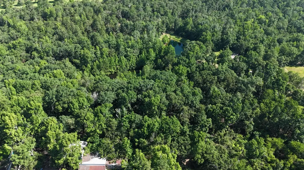2031 Mcdade Road Hephzibah GA 30815
