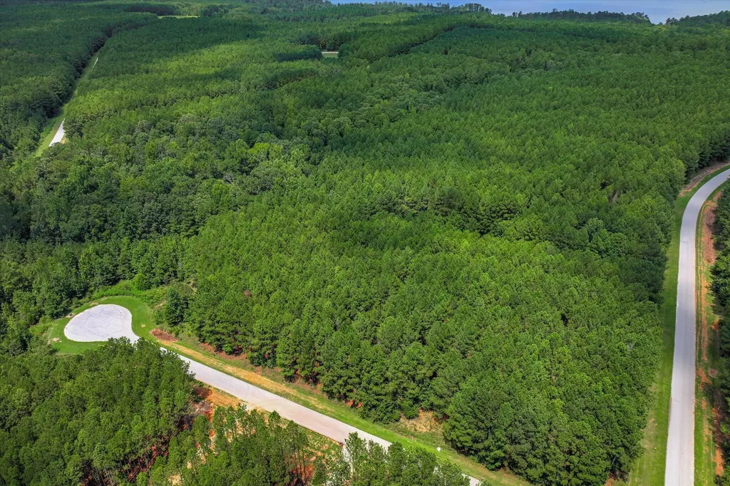 1210 Edge Lane Tignall GA 30668