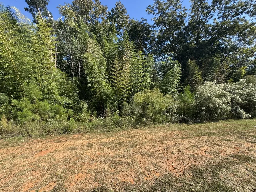 0 E Robinson Avenue Grovetown GA 30813