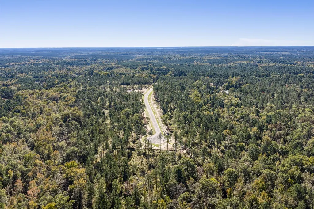 166 Beagle Chase Drive Appling GA 30802