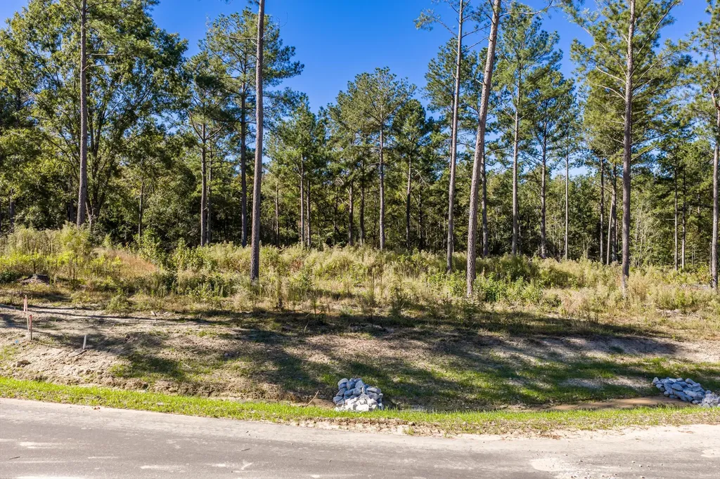 166 Beagle Chase Drive Appling GA 30802
