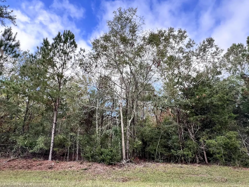 Lot B Ridge Road Appling GA 30802