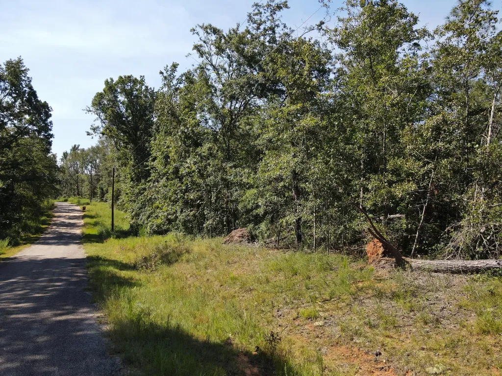 11C & 12c Mini Farms Road Keysville GA 30816