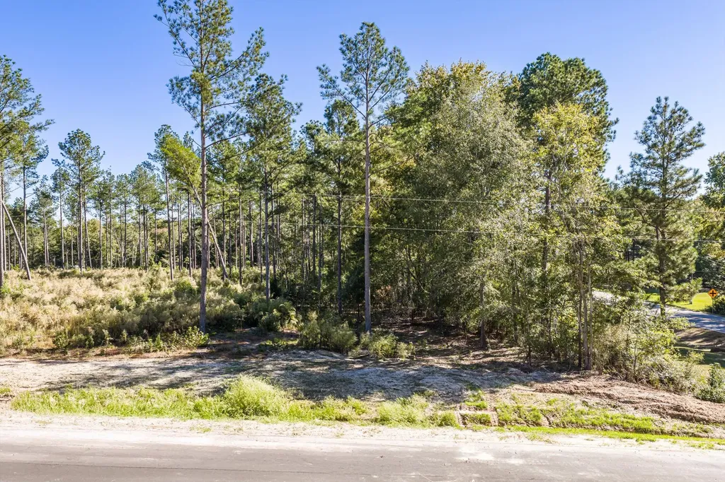 111 Beagle Chase Drive Appling GA 30802