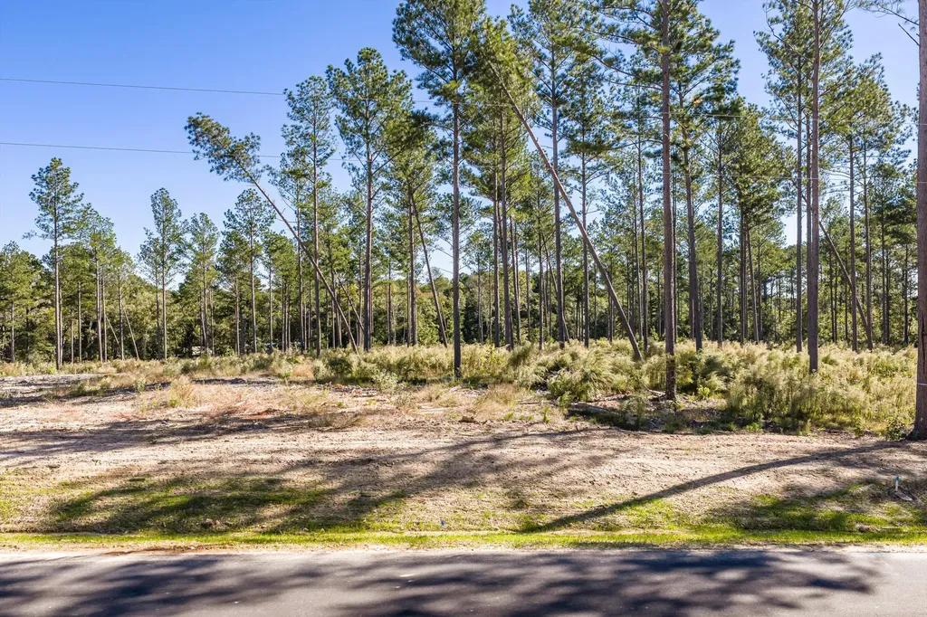 127 Beagle Chase Drive Appling GA 30802