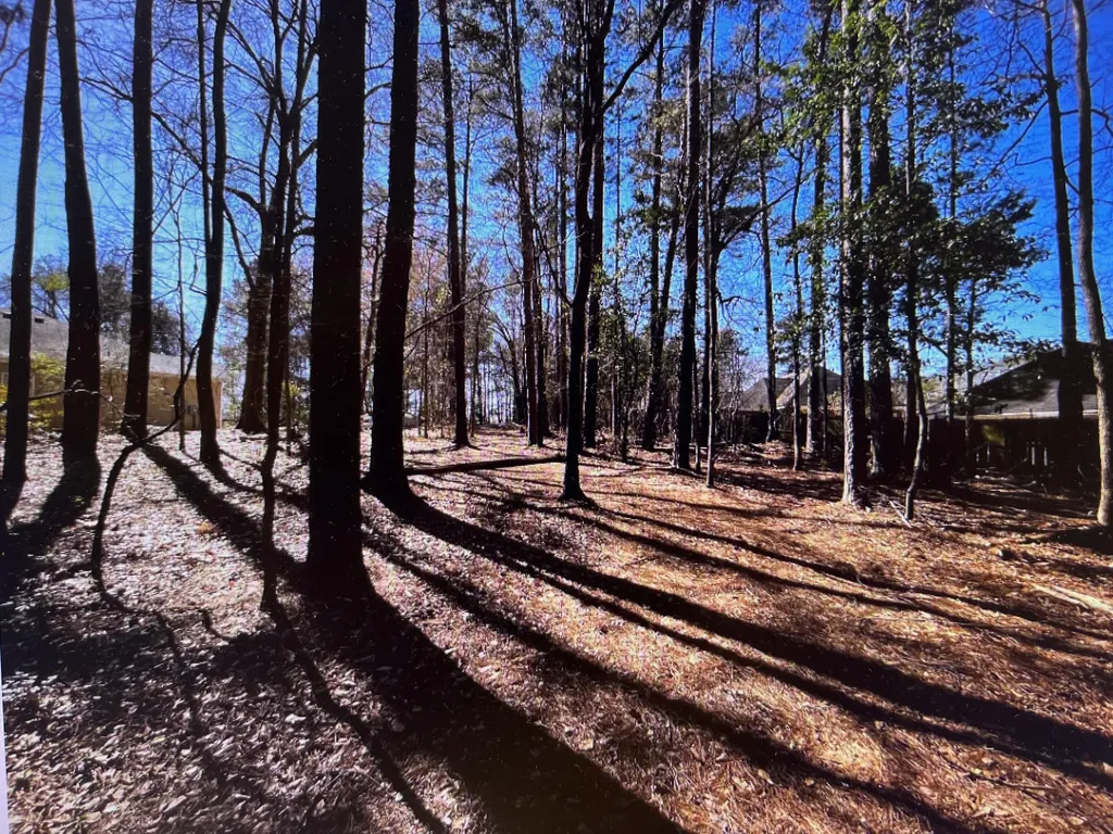 0 Osprey Lane Martinez GA 30907