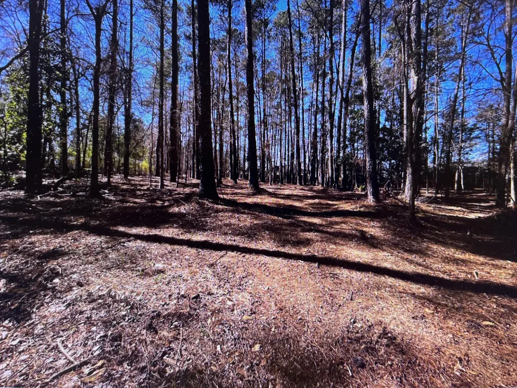0 Osprey Lane Martinez GA 30907