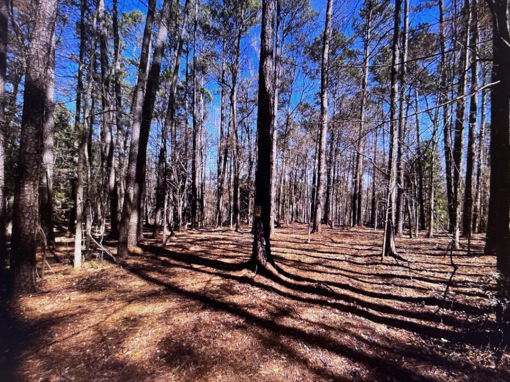 0 Osprey Lane Martinez GA 30907
