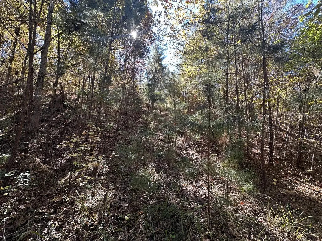 Lot 27&28 Lakeshore Estates Drive Lincolnton GA 30817