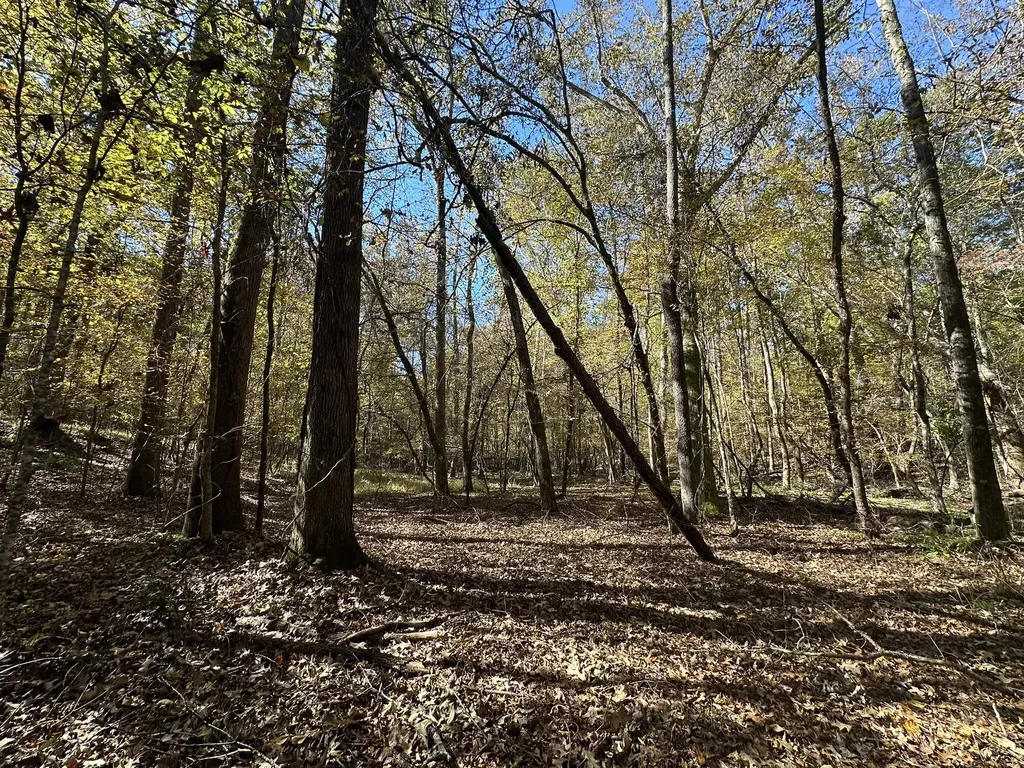 Lot 27&28 Lakeshore Estates Drive Lincolnton GA 30817