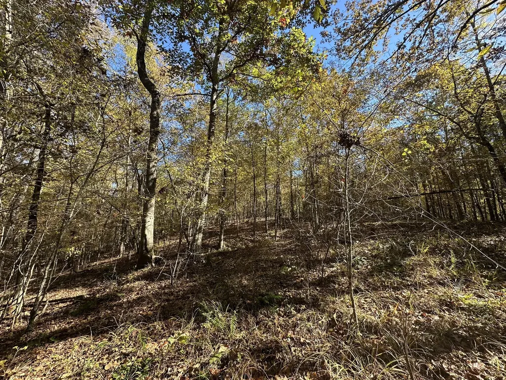 Lot 27&28 Lakeshore Estates Drive Lincolnton GA 30817