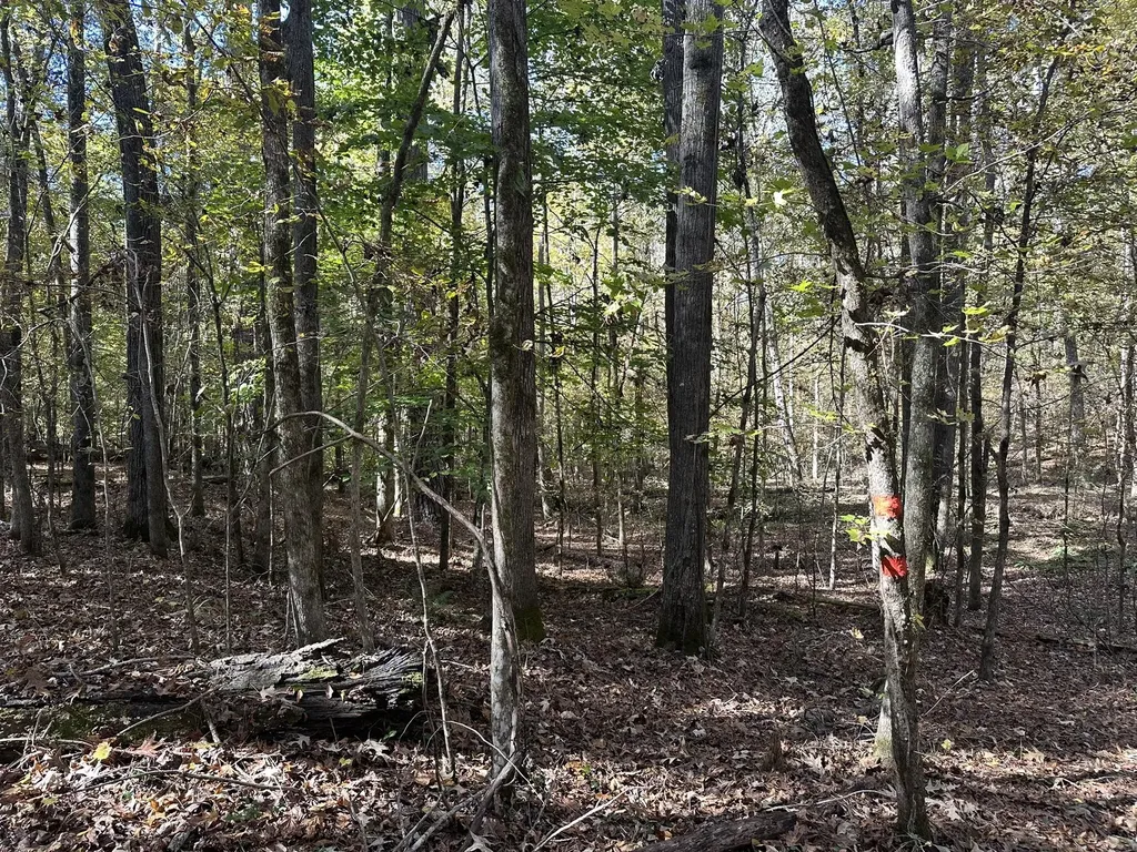 Lot 27&28 Lakeshore Estates Drive Lincolnton GA 30817